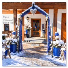 Gästehaus Schönfeld Winter