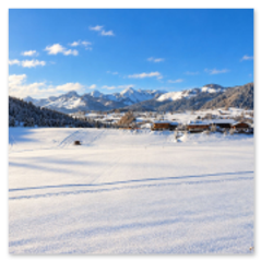 Gästehaus Schönfeld Winter