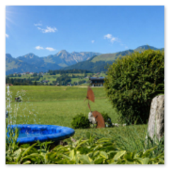 Gästehaus Schönfeld Sommer