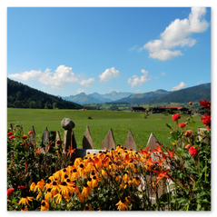 Gästehaus Schönfeld Sommer