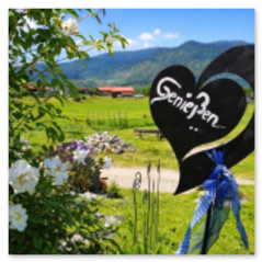Wohlfühl-Urlaub Gästehaus Schönfeld
