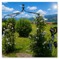 Gästehaus Schönfeld Sommer