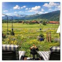 Gästehaus Schönfeld Sommer