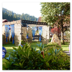 Gästehaus Schönfeld Sommer