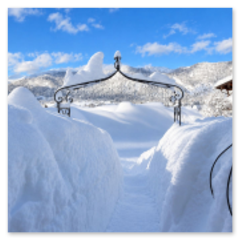 Gästehaus Schönfeld Winter