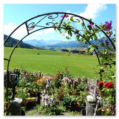 Gästehaus Schönfeld Sommer