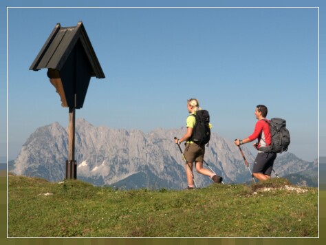 Geführte Touren