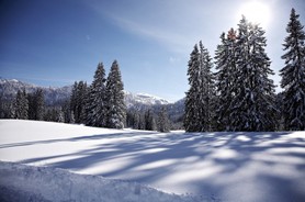 Die schönsten Schneeschuhtouren in Reit im Winkl